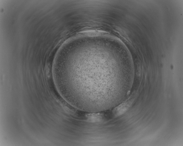 X0000072550273200607211406