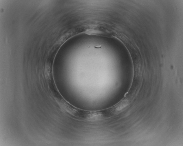 X0000072550274200607211407