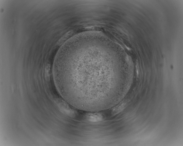 X0000072550275200607211407