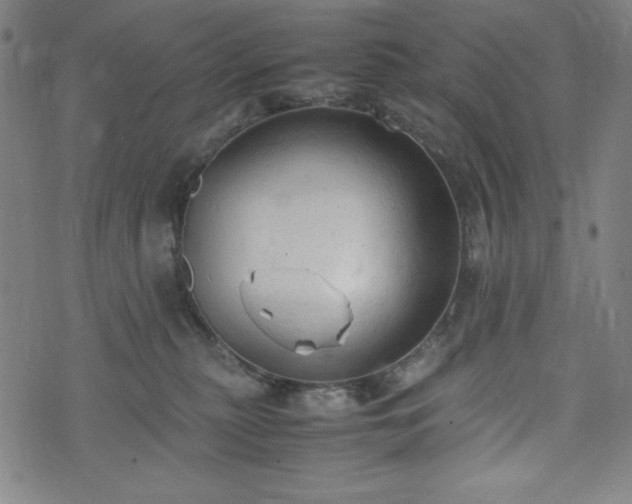 X0000072550279200607211407