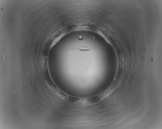 X0000072550280200607211407