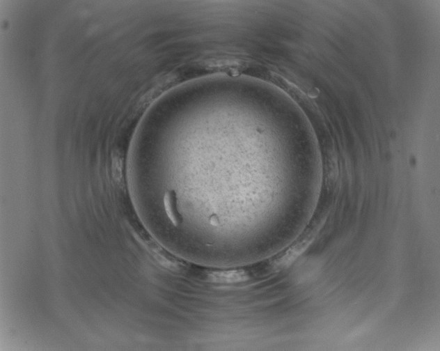 X0000072550281200607211407