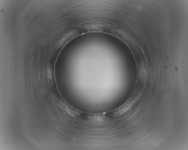 X0000072550282200607211407