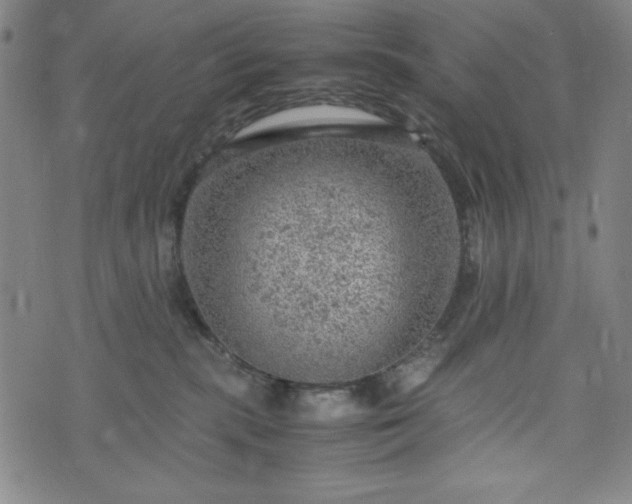 X0000072550283200607211407