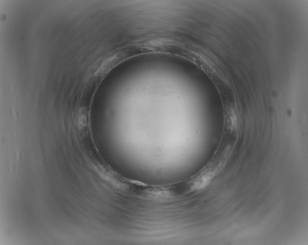 X0000072550284200607211407