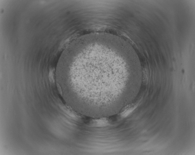 X0000072550286200607211407