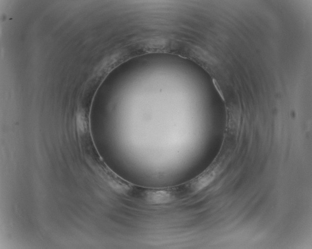 X0000072550287200607211407