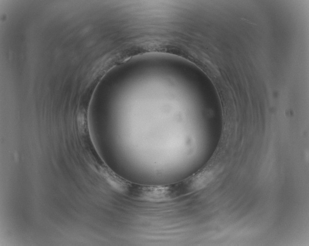 X0000072550288200607211407