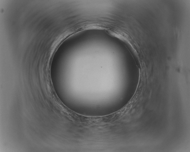 X0000072550289200607211406