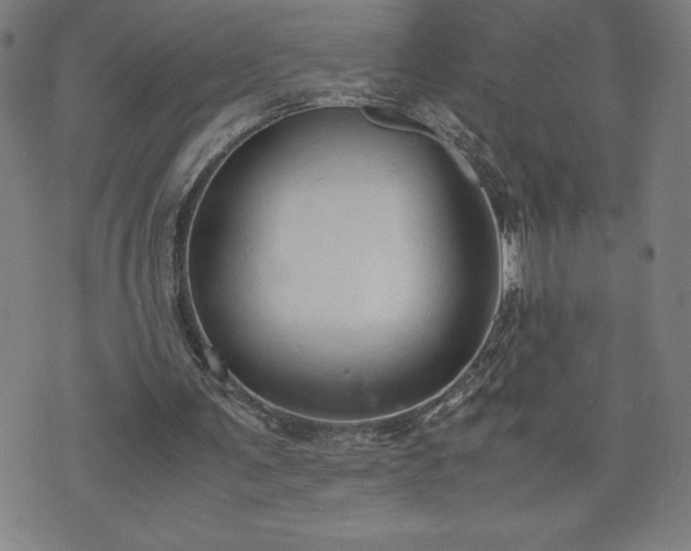 X0000072550291200607211406