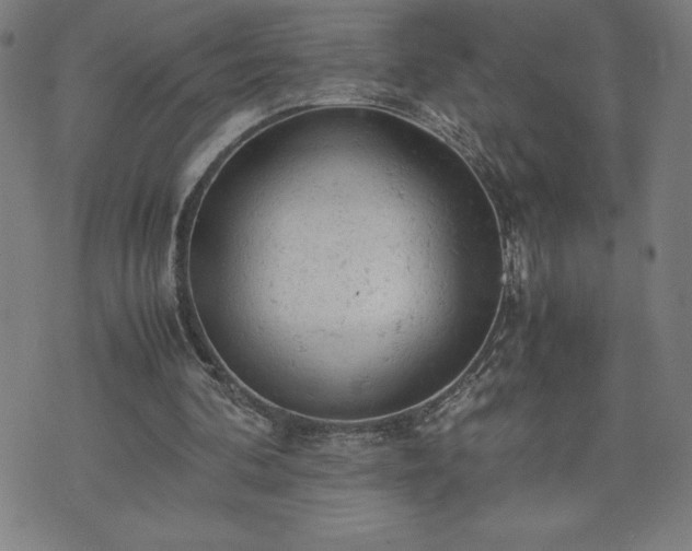 X0000072550292200607211406