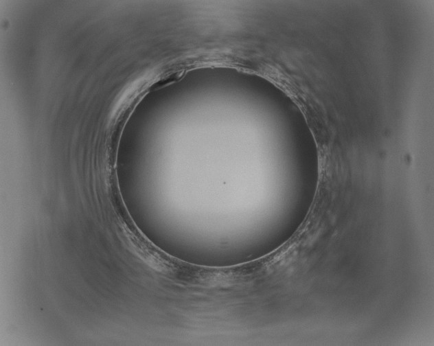 X0000072550293200607211406