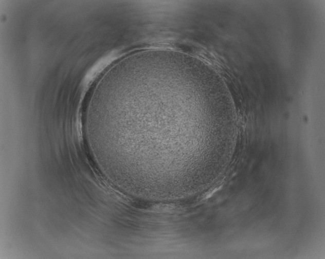 X0000072550294200607211406