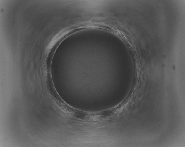 X0000072550295200607211406