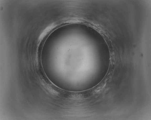 X0000072550296200607211406