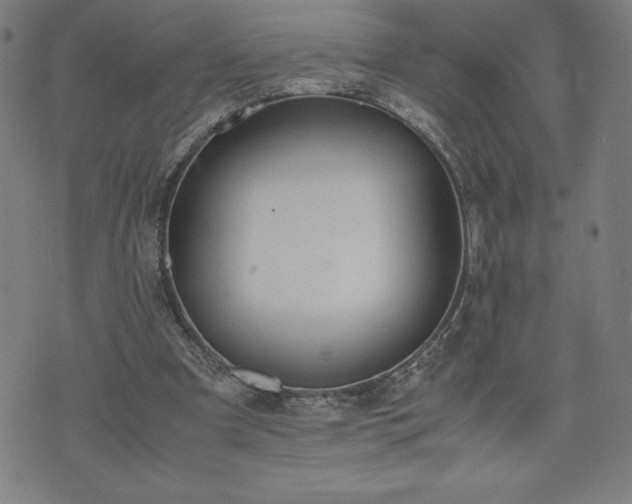 X0000072550297200607211406