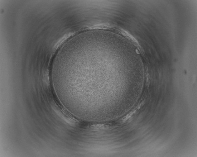 X0000072550298200607211406