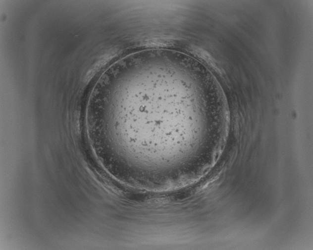 X0000072550299200607211406