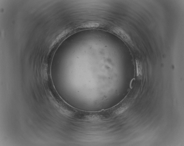 X0000072550300200607211406