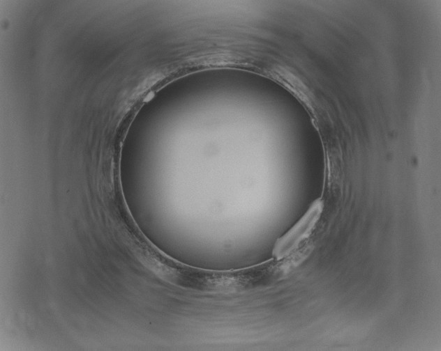 X0000072550301200607211406