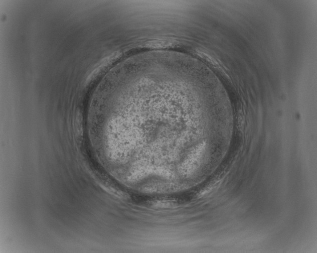 X0000072550303200607211406