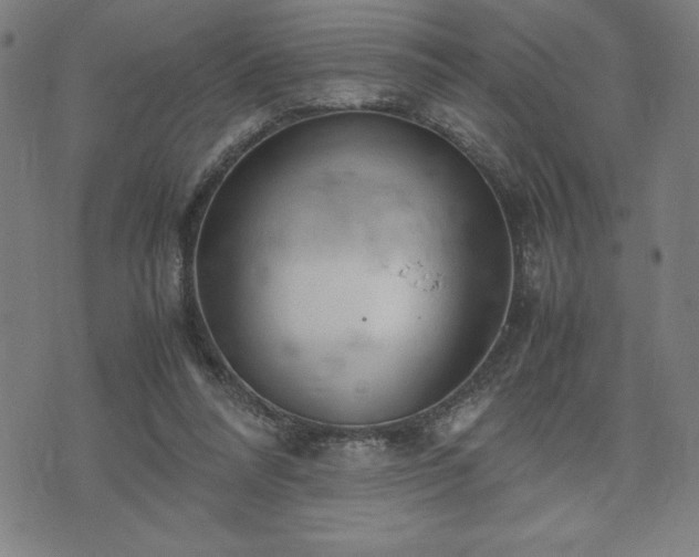 X0000072550304200607211406