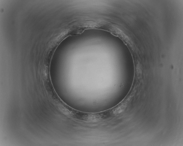 X0000072550305200607211406