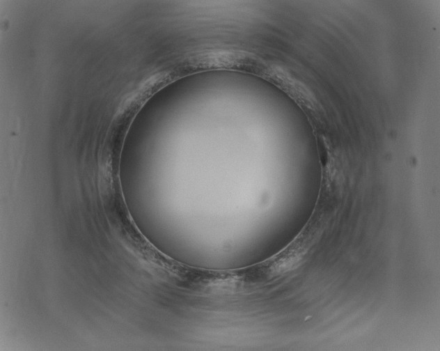 X0000072550306200607211406