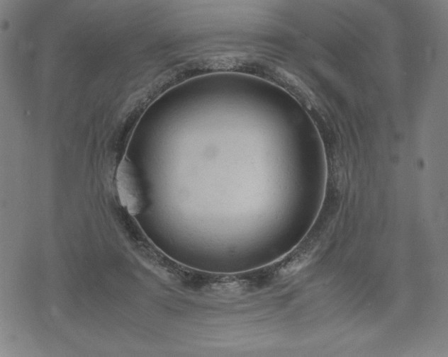 X0000072550307200607211406