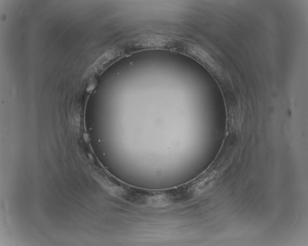 X0000072550309200607211406