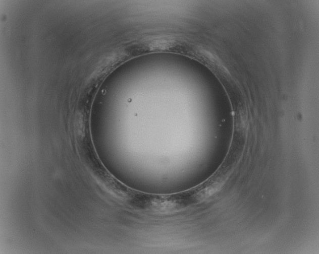 X0000072550311200607211406