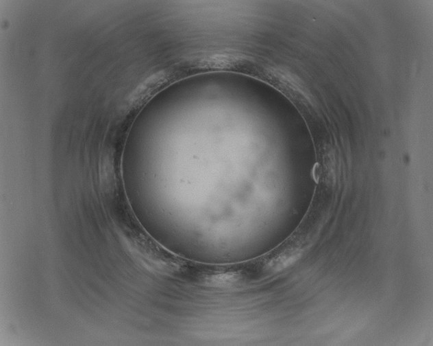 X0000072550312200607211406