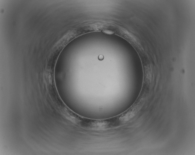 X0000072550313200607211406