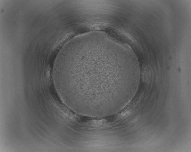 X0000072550314200607211406