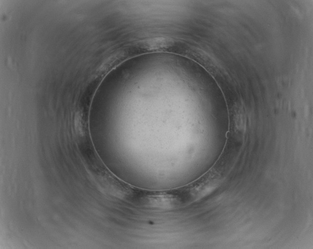 X0000072550316200607211406