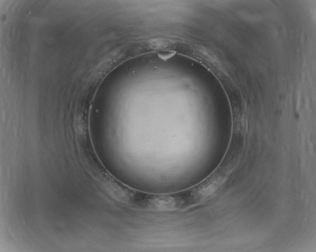 X0000072550317200607211406