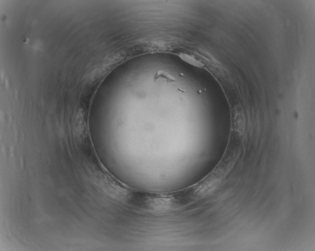 X0000072550318200607211405