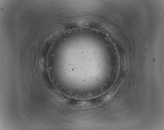 X0000072550319200607211405