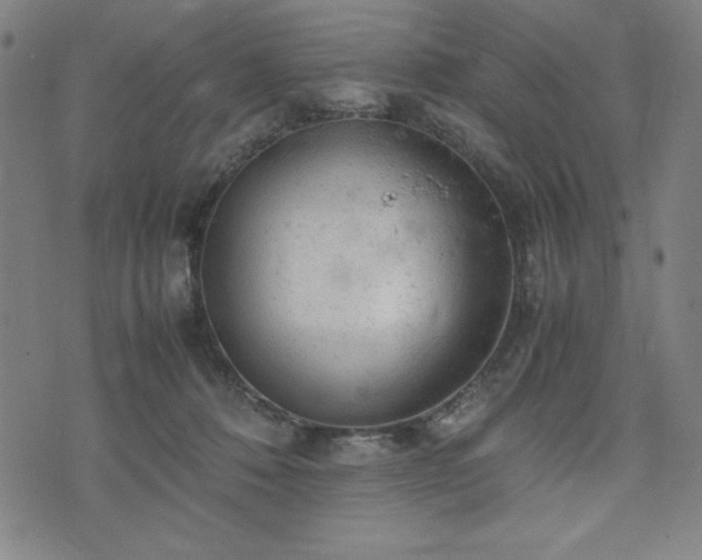 X0000072550320200607211405