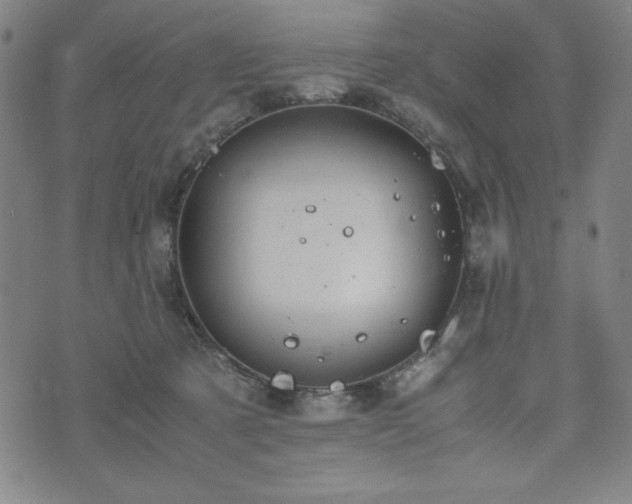 X0000072550321200607211405