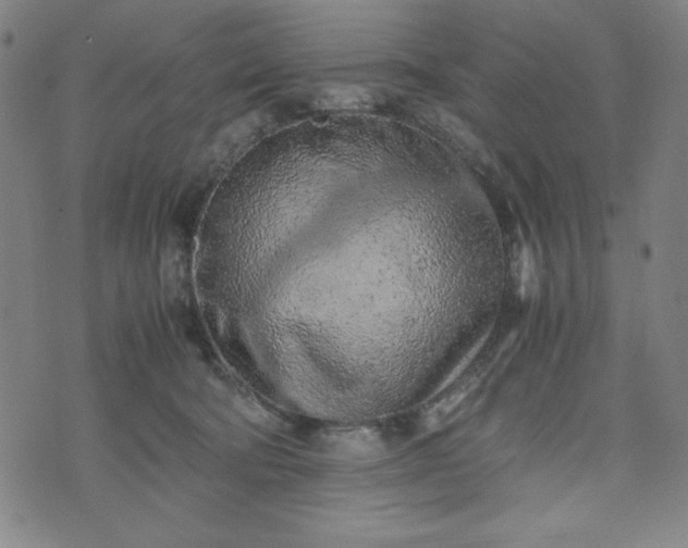 X0000072550322200607211405