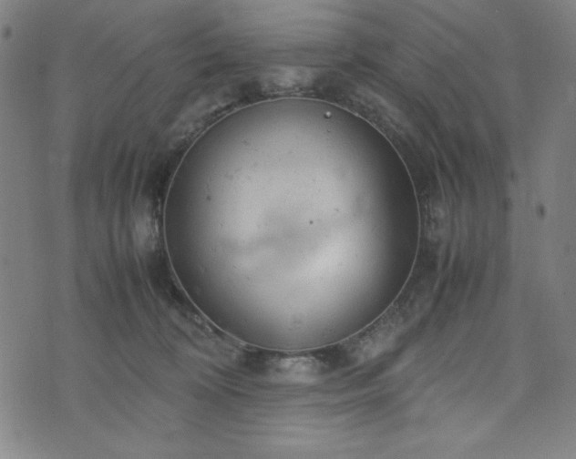 X0000072550324200607211405