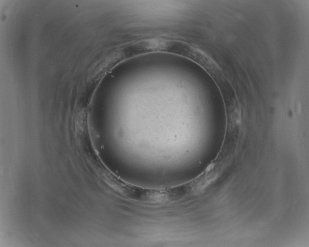 X0000072550325200607211405