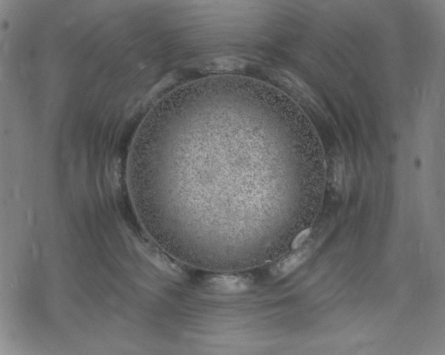 X0000072550326200607211405