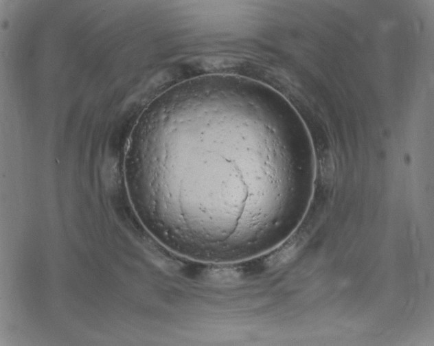 X0000072550327200607211405