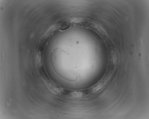 X0000072550328200607211405