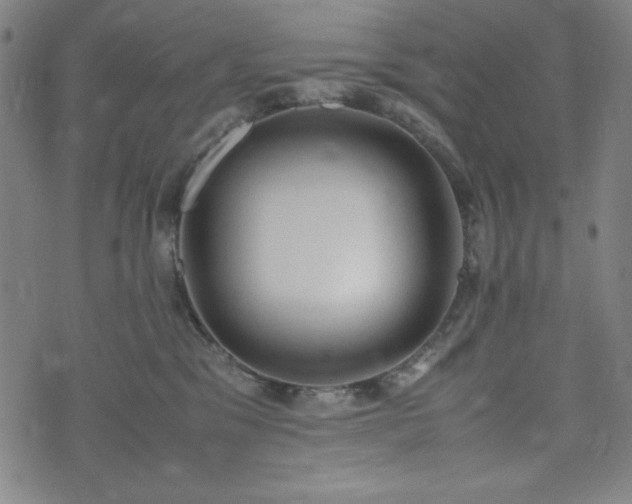 X0000072550329200607211405