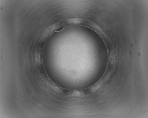 X0000072550330200607211405