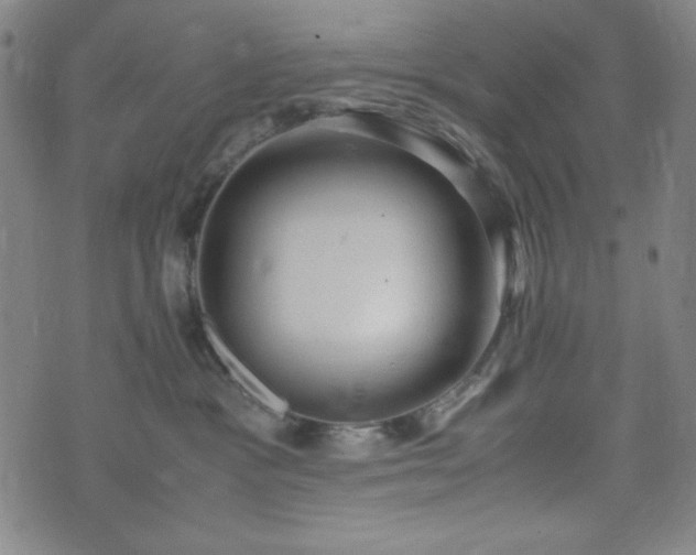 X0000072550333200607211405