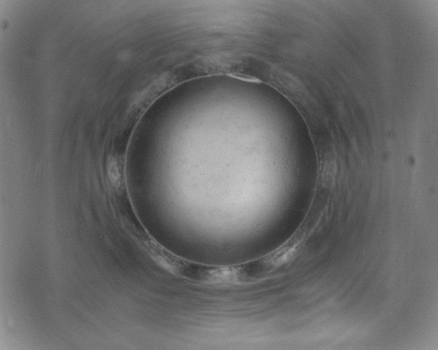 X0000072550335200607211405